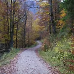 Reiss Füssen