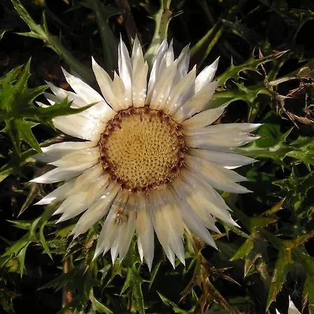 アパート Reiss *